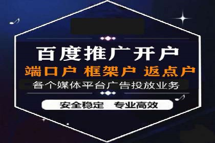大型SEM服务公司案例分析